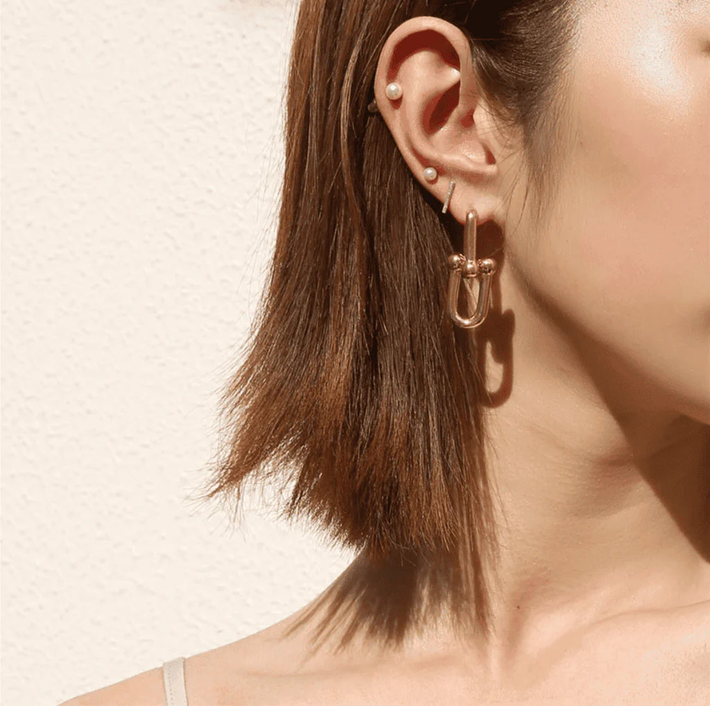 U Link Earrings